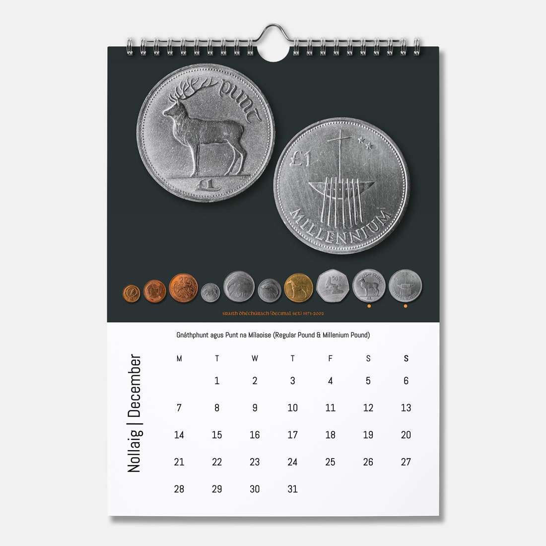 Boinn na hÉireann - Féilire 2026 (Coins of Ireland Calendar 2026) - Spailpín