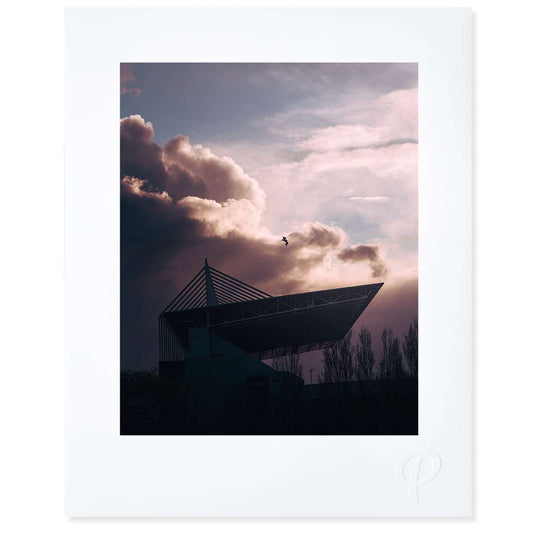 Fight or Flight Print - Spailpín - 8x10" Print