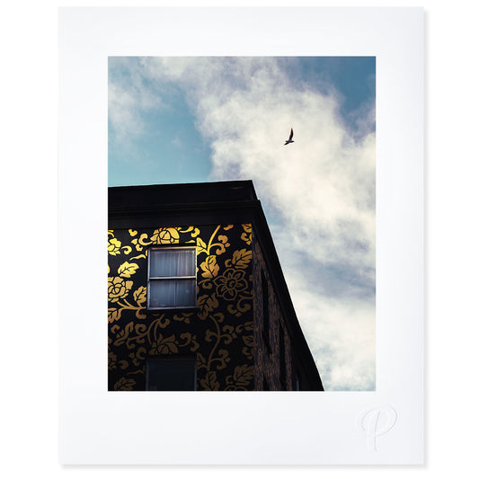 High Notes - Prionta