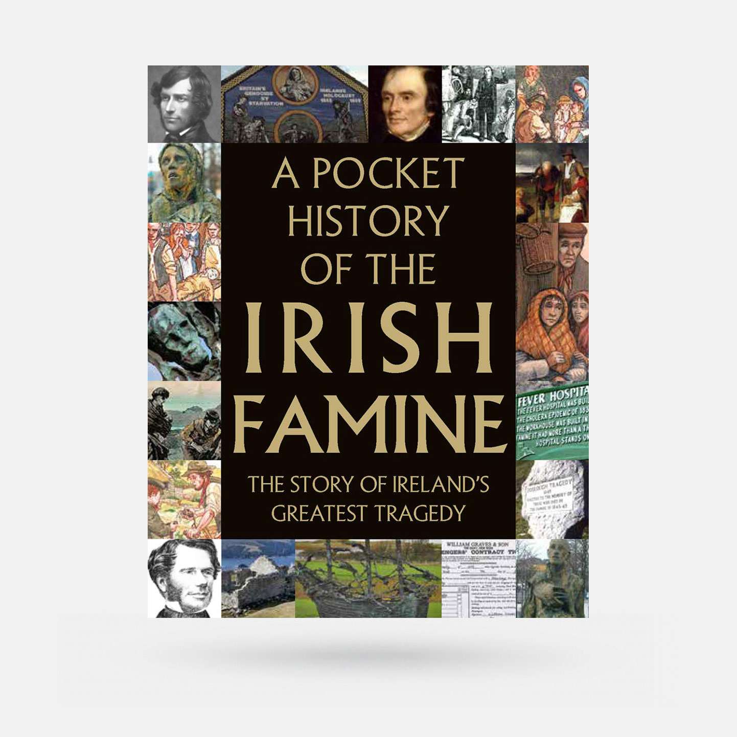A Pocket History of the Irish Famine: The Story of Ireland's Great Hunger - Book - Spailpín