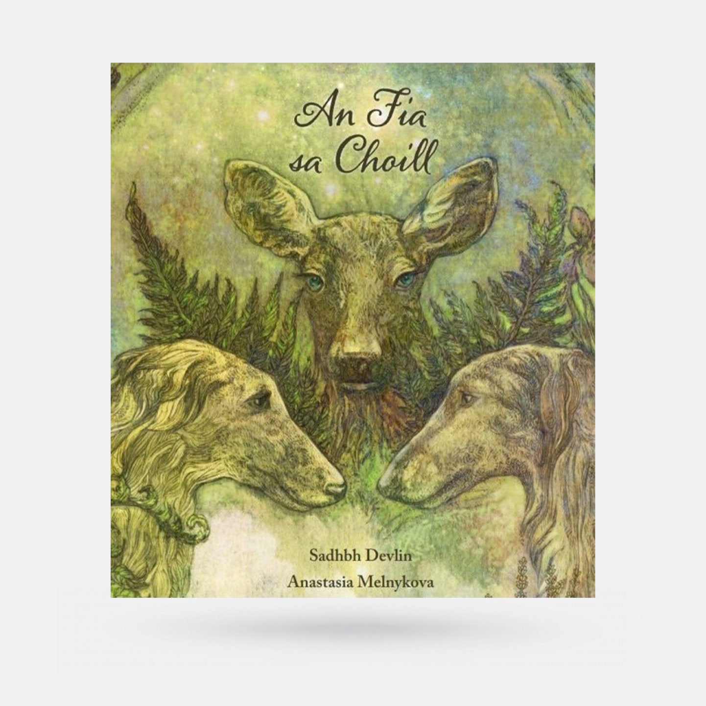 An Fia sa Choill by Sadhbh Devlin - Book