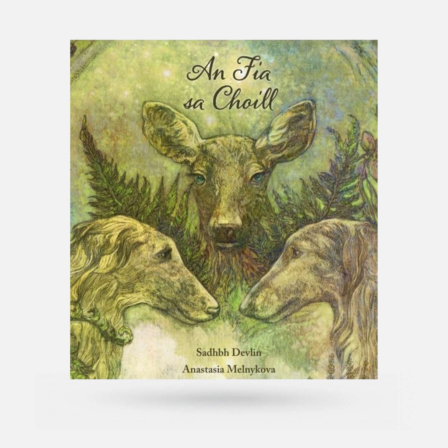An Fia sa Choill by Sadhbh Devlin - Book - Spailpín