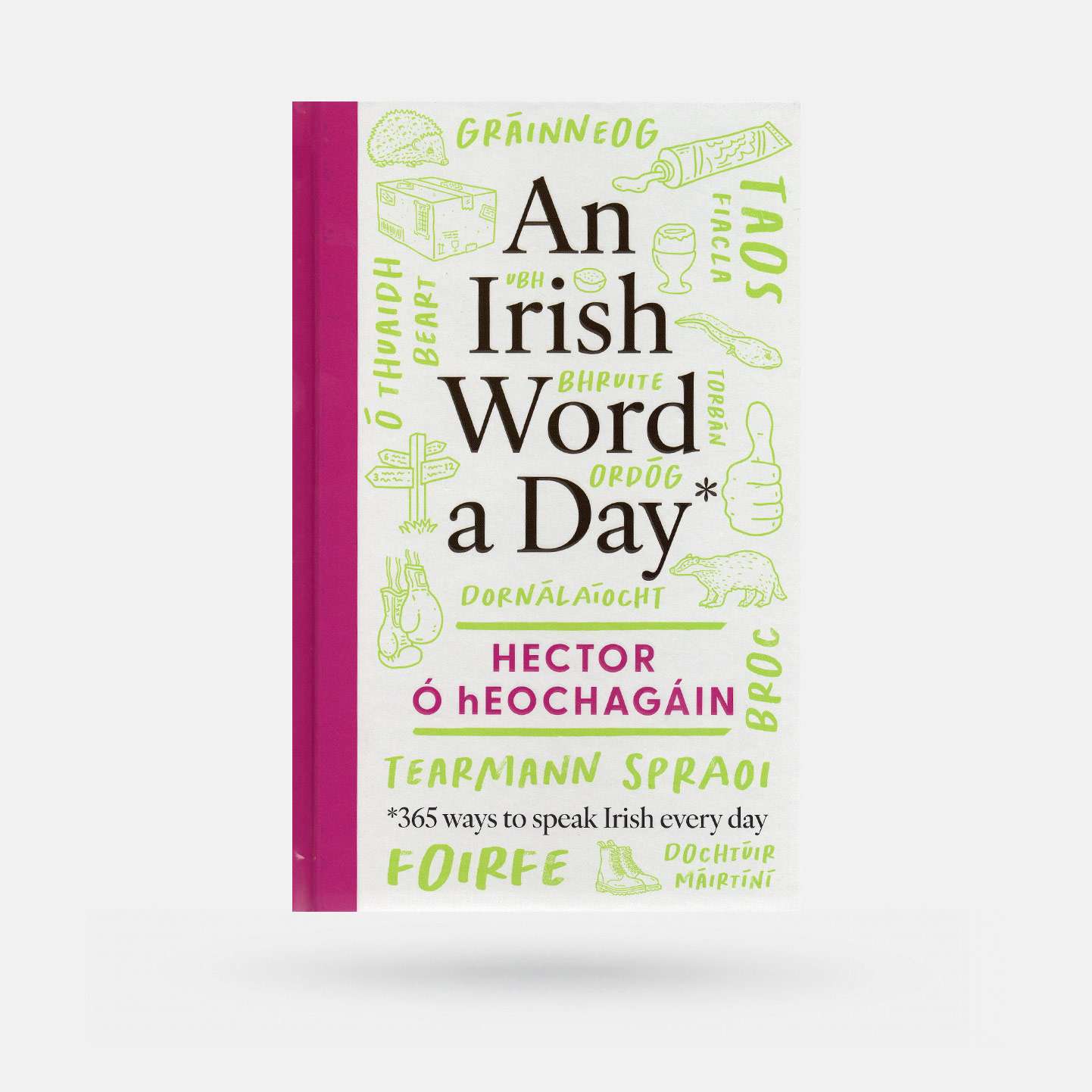 An Irish Word a Day by Hector Ó hEochagáin - Book - Spailpín