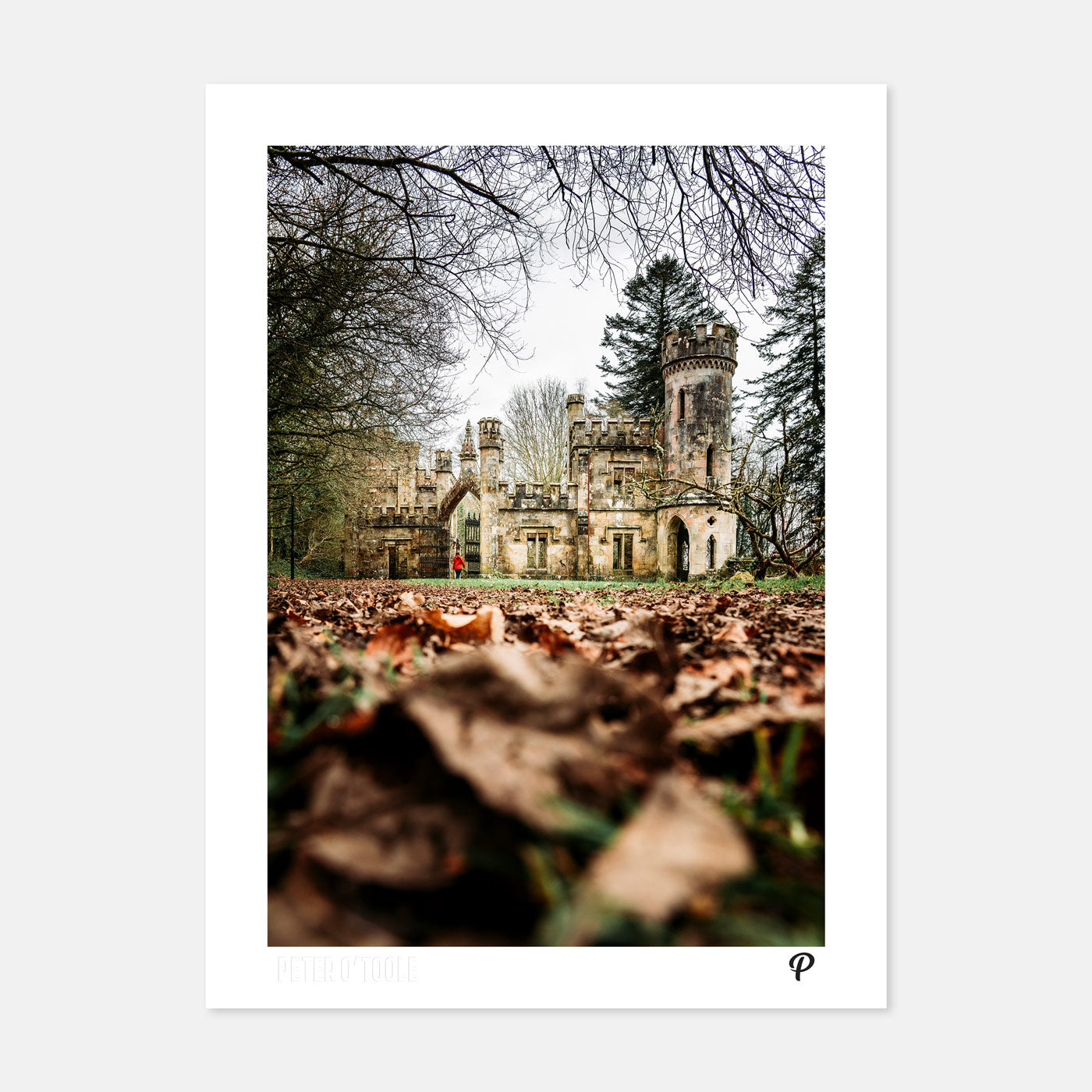 Ballysaggartmore Towers - Prionta