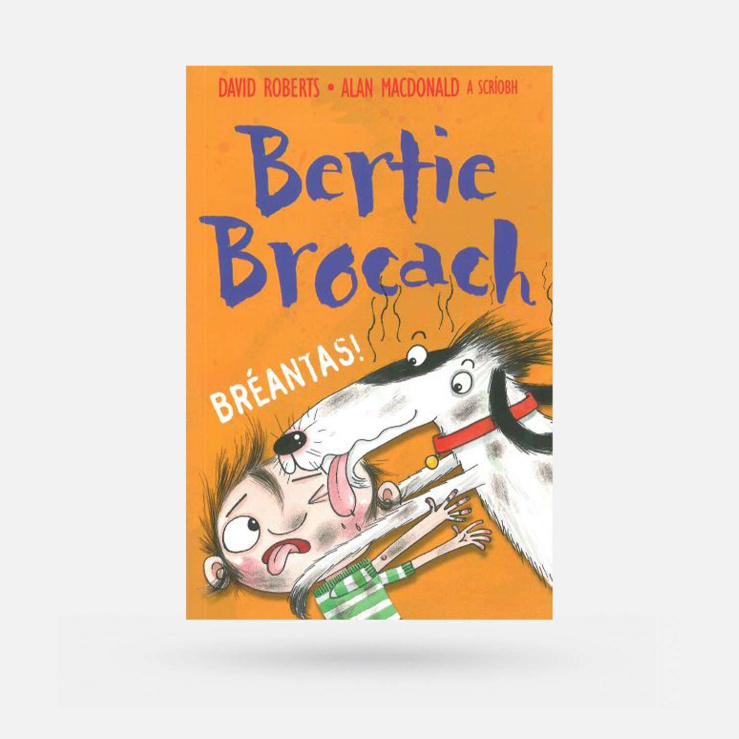 Bréantas! Bertie Brocach - Book - Spailpín