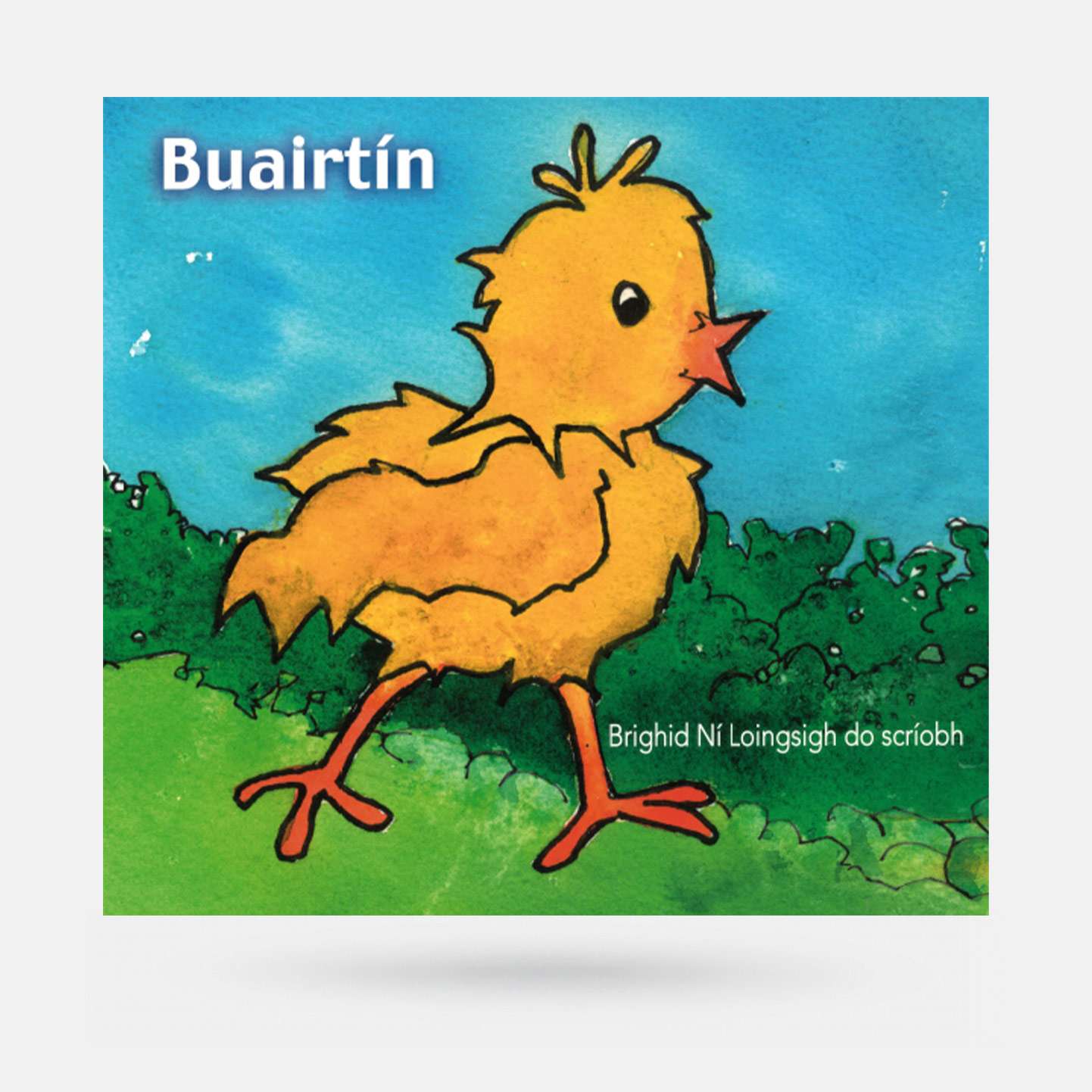 Buairtín by Brighid Ní Loingsigh - Book - Spailpín