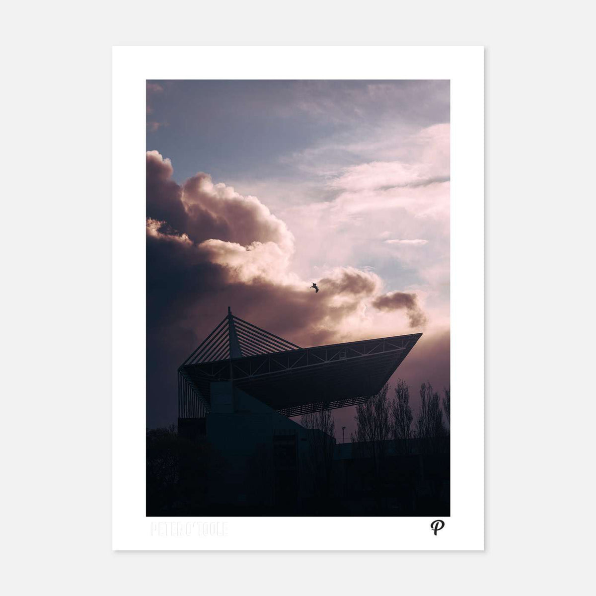 Fight or Flight Print - Spailpín - A4 Print