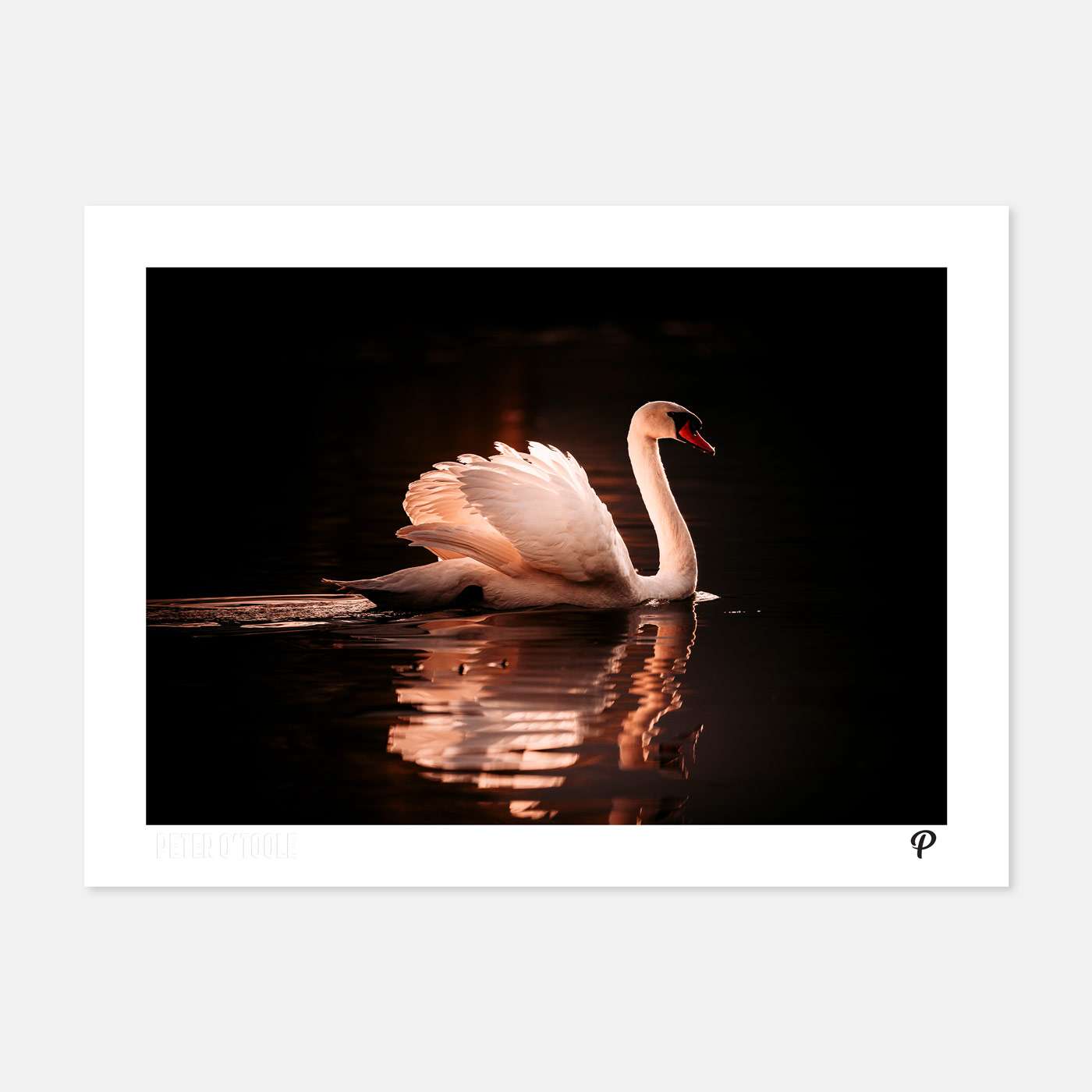 Graceful Glow Print - Spailpín - A4 Print