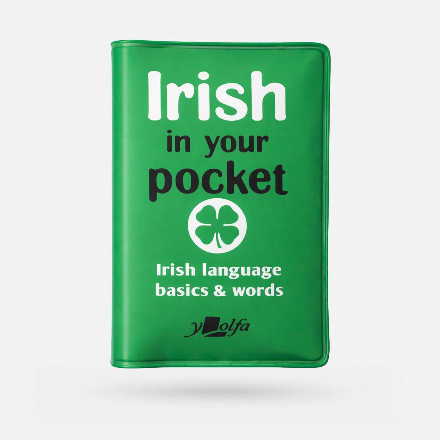 Irish in Your Pocket: Irish Language Basics and Words - Book - Spailpín
