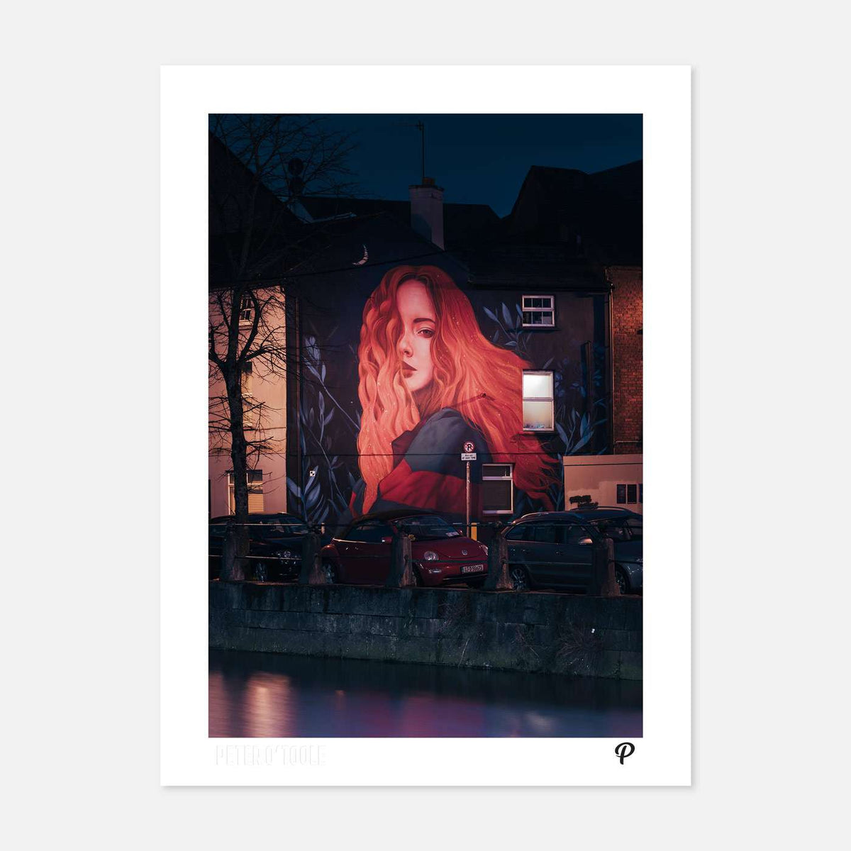 Kitsune Jolene's Mural on Sullivan's Quay Print - Spailpín - A4 Print