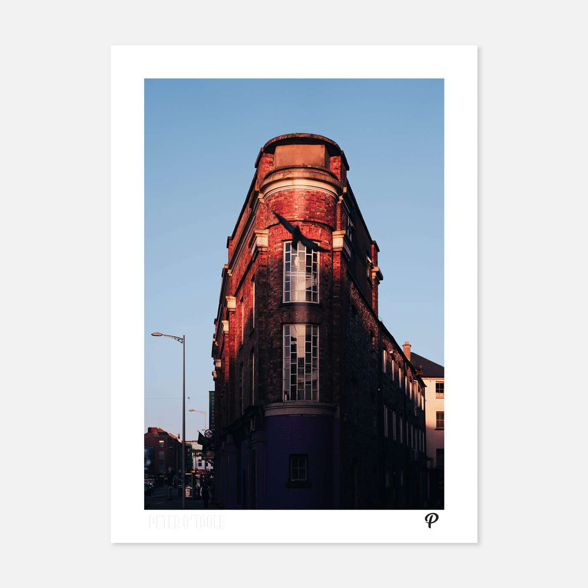 Soaring from the Shadows Print - Spailpín - A4 Print