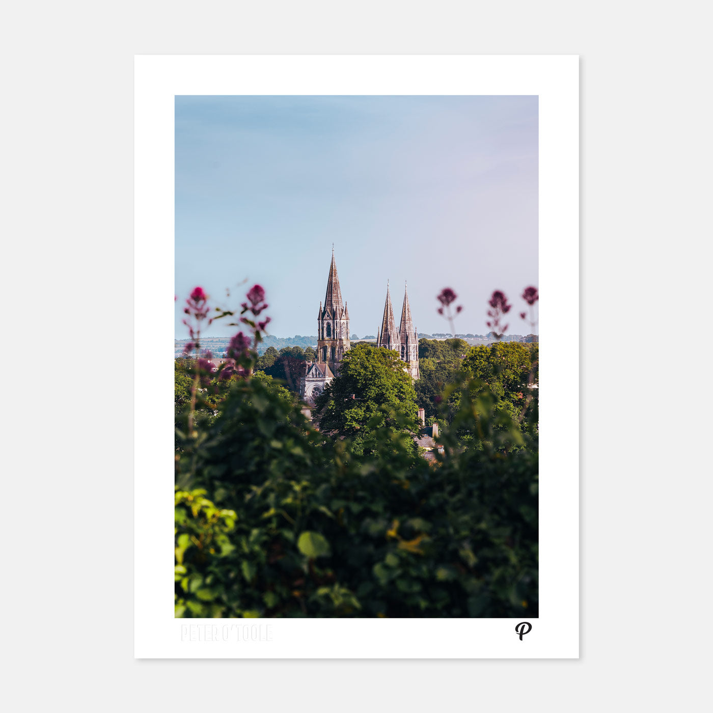 St. Fin Barre’s Cathedral from Sunday's Well - Prionta
