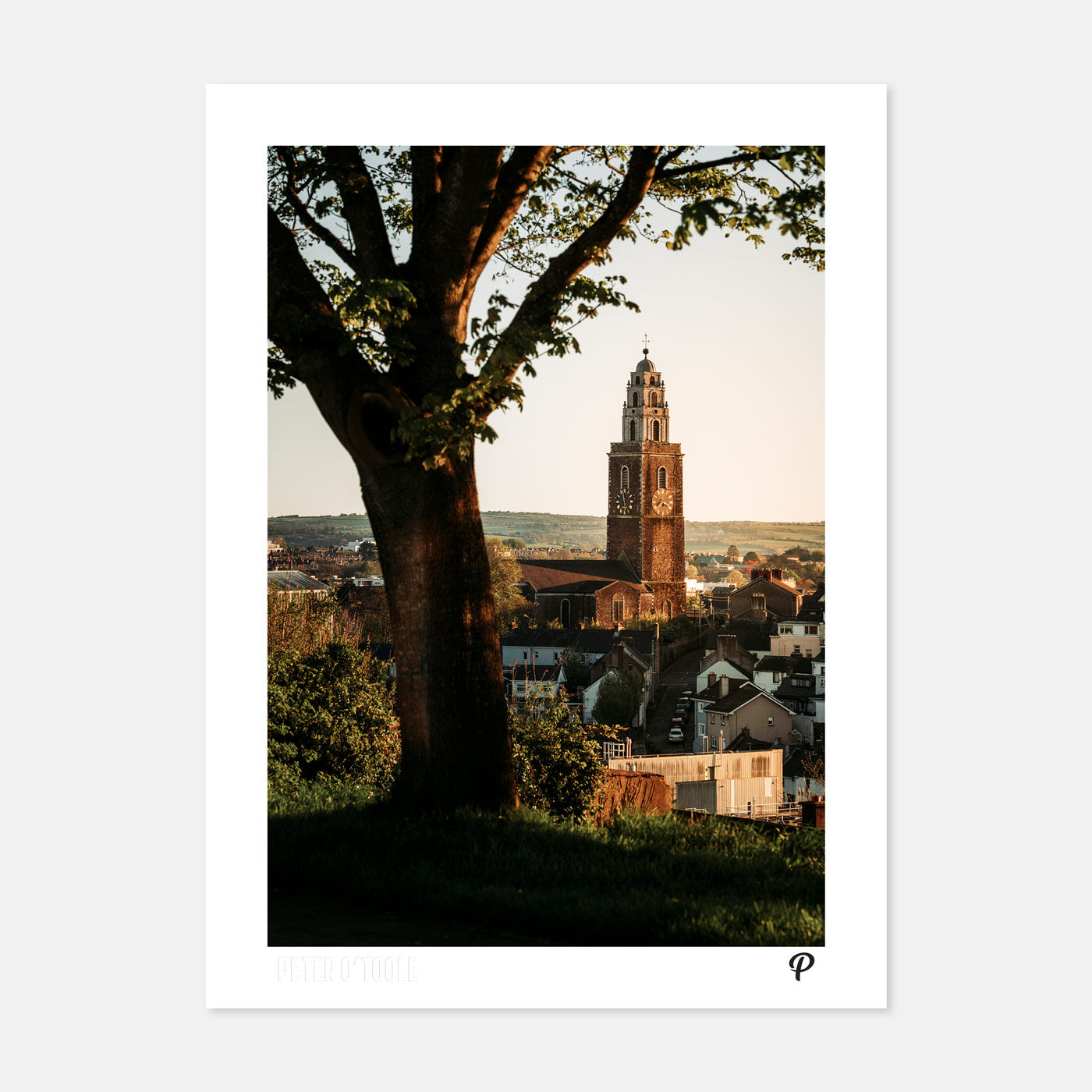 Summer in Shandon - Prionta