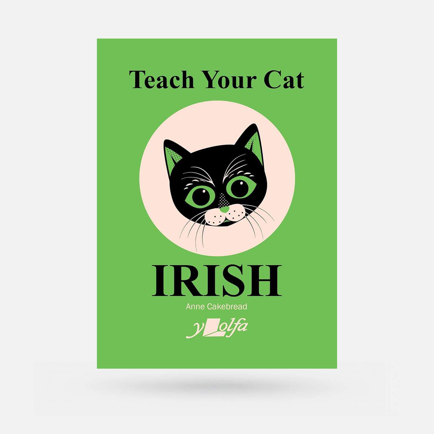 Teach Your Cat Irish by Anne Cakebread - Book - Spailpín
