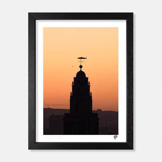 The Goldie Fish Print