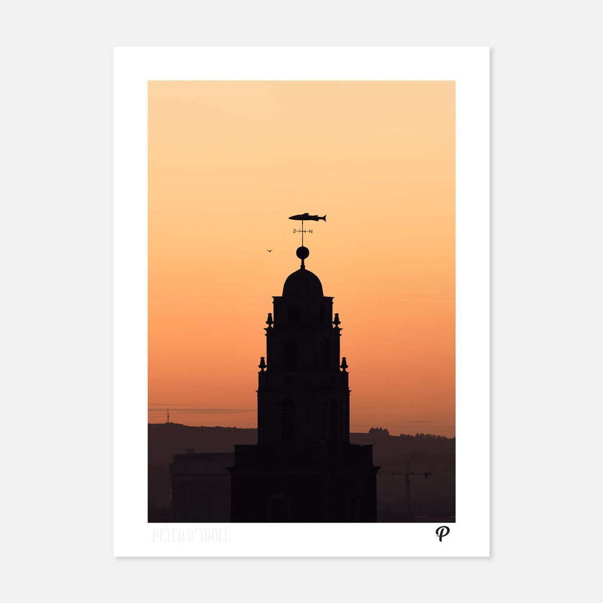 The Goldie Fish Print - Spailpín - A4 Print