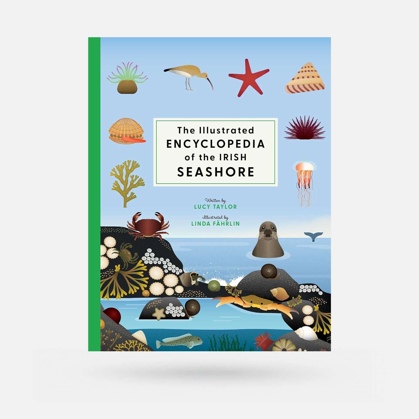 The Illustrated Encyclopedia of the Irish Seashore by Lucy Taylor - Book - Spailpín