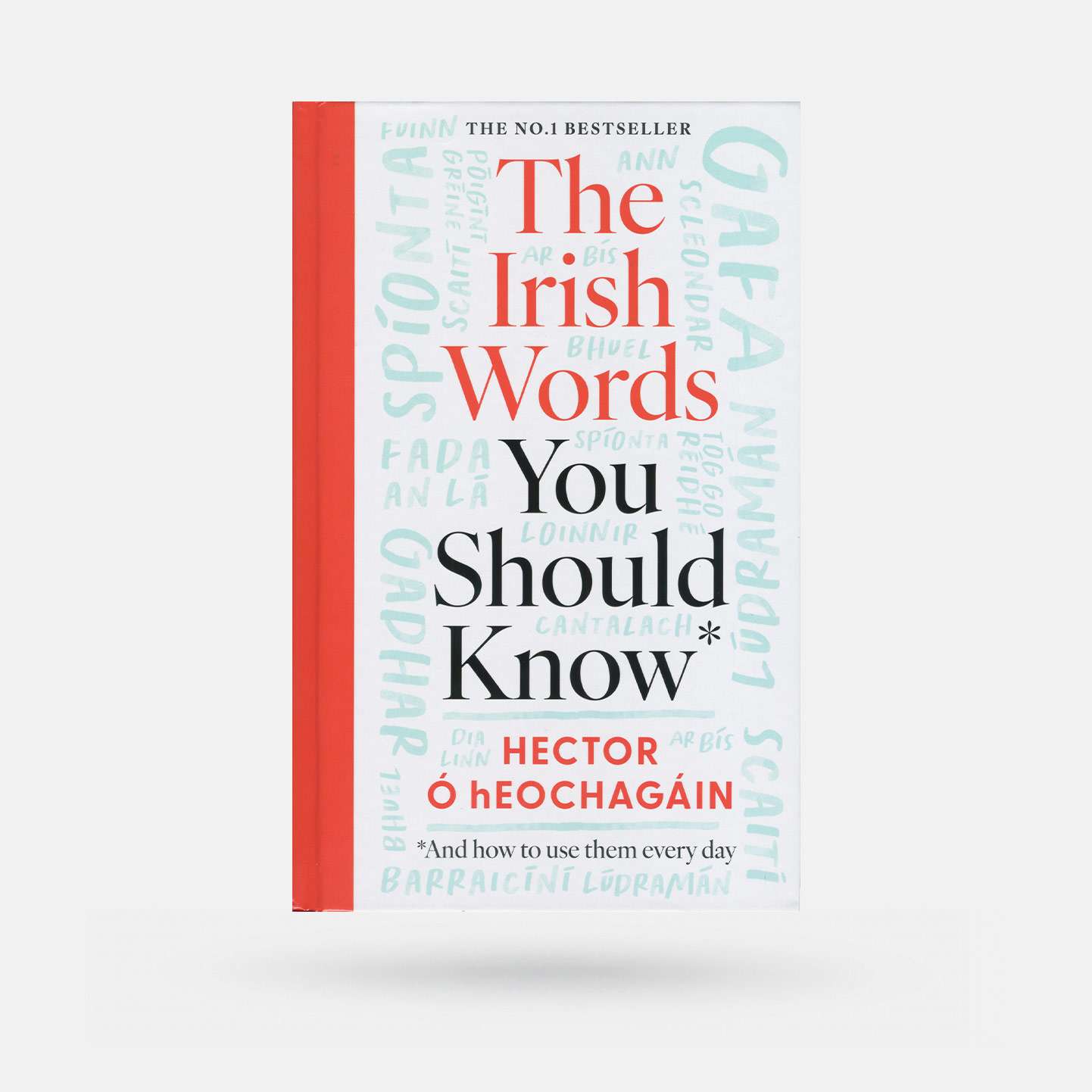 The Irish Words You Should Know by Hector Ó hEochagáin - Book - Spailpín