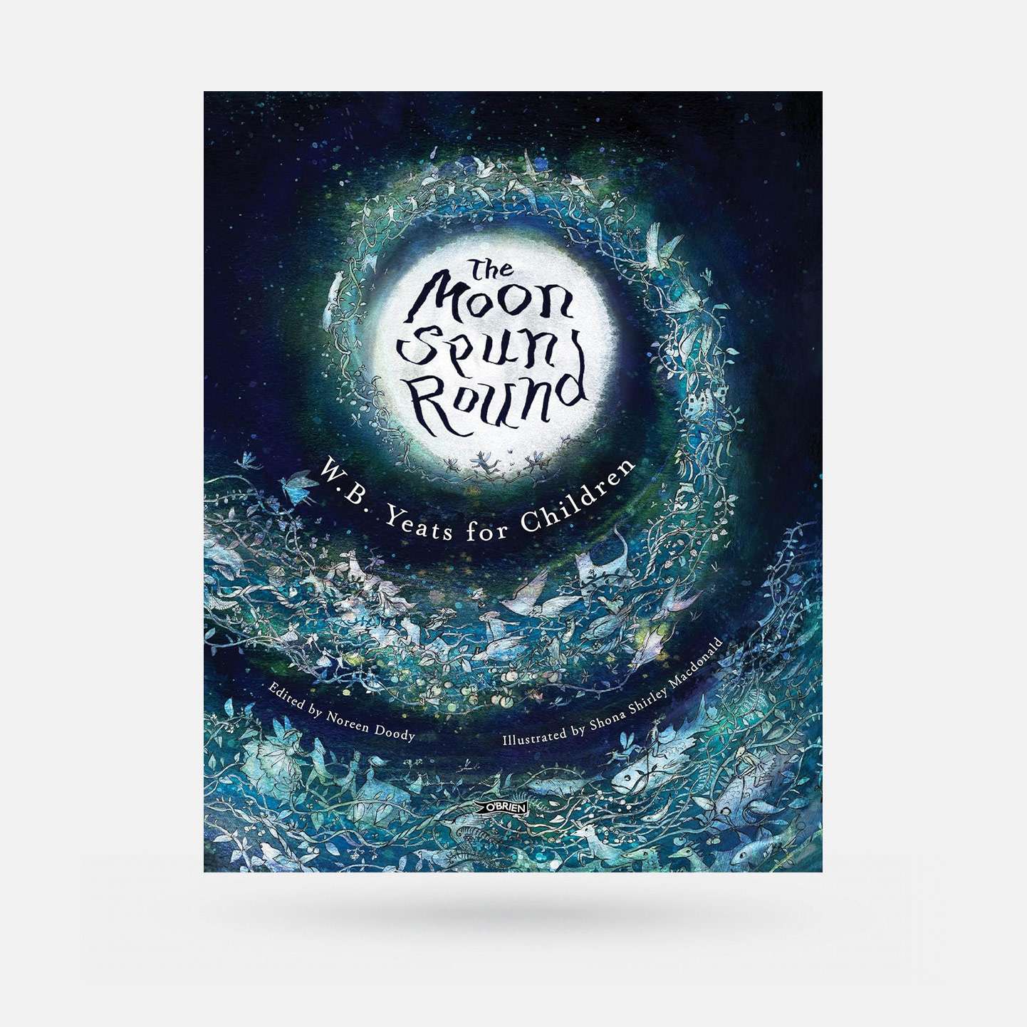 The Moon Spun Round by W.B Yeats for Children - Book - Spailpín