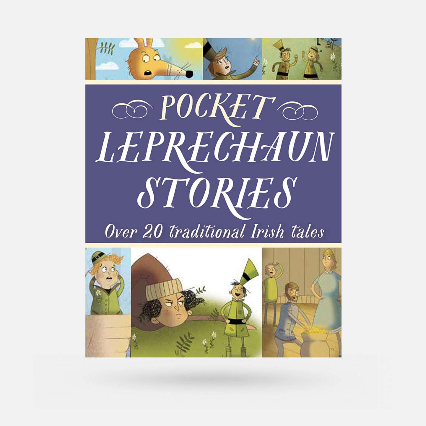 Pocket Leprechaun Stories by Fiona Biggs & Tony Potter - Book - Spailpín