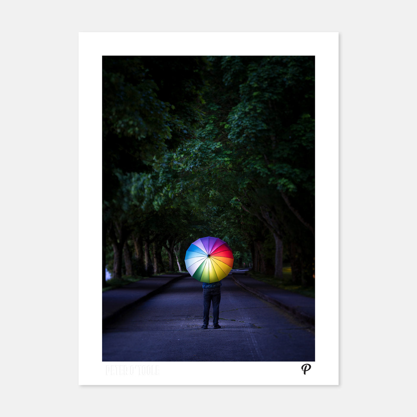 True Colours of Marina Walk - Prionta