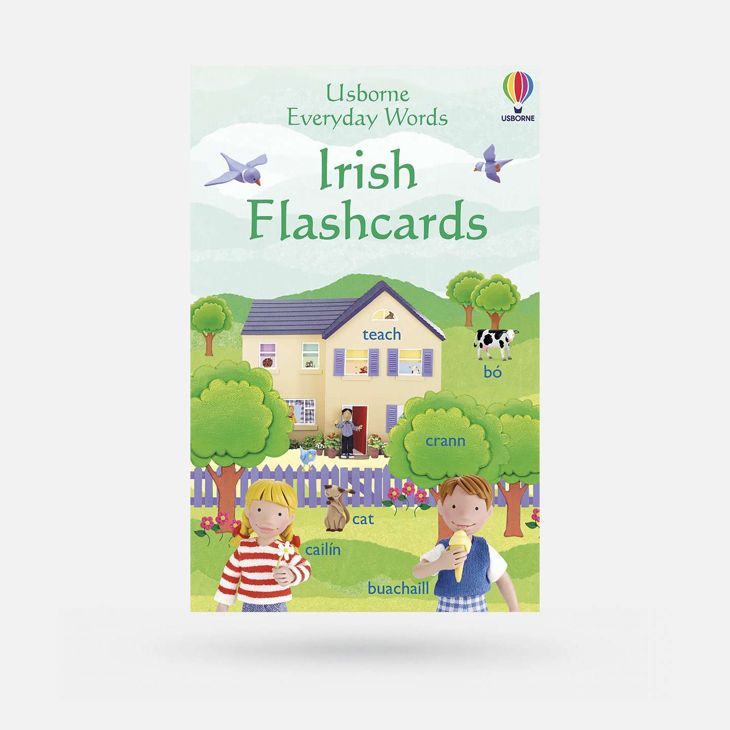 Everyday Words in Irish Flashcards - Spailpín