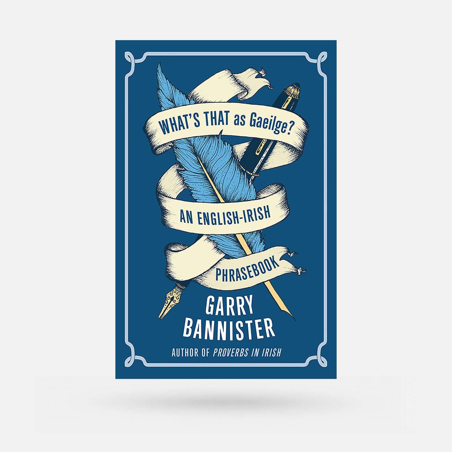 What's That as Gaeilge? by Garry Bannister - Book - Spailpín