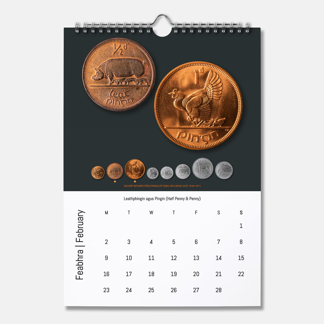 Boinn na hÉireann - Féilire 2026 (Coins of Ireland Calendar 2026)