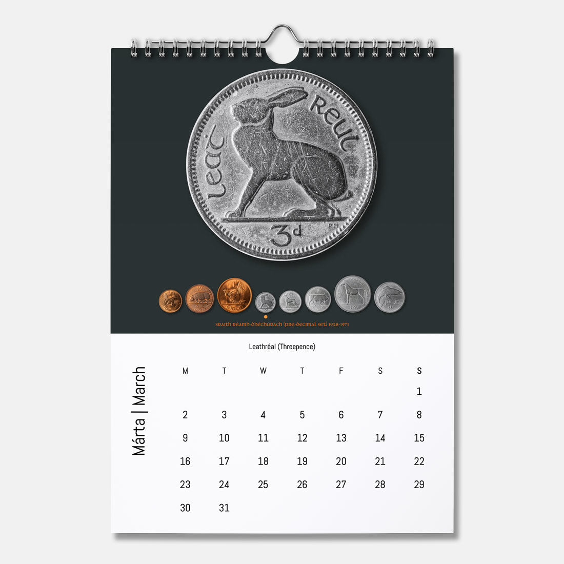 Boinn na hÉireann - Féilire 2026 (Coins of Ireland Calendar 2026)