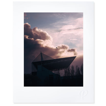 Fight or Flight Print