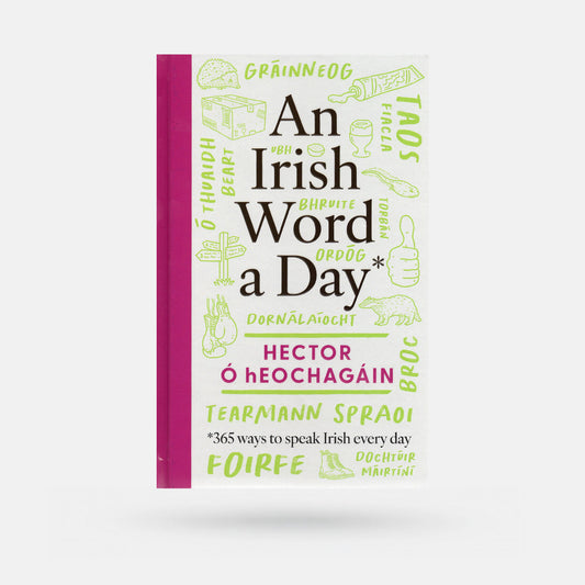 An Irish Word a Day by Hector Ó hEochagáin - Book