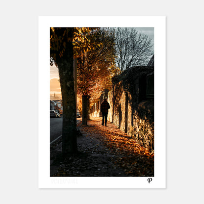Autumnal Walk on Wellington Print