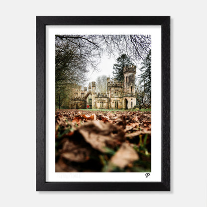 Ballysaggartmore Towers Print