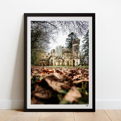 Ballysaggartmore Towers Print