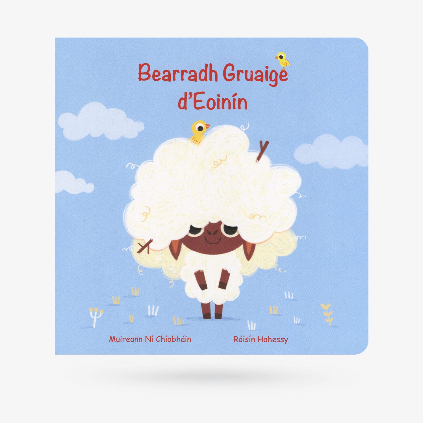 Bearradh Gruaige d'Eoinín by Muireann Ní Chíobháin - Book