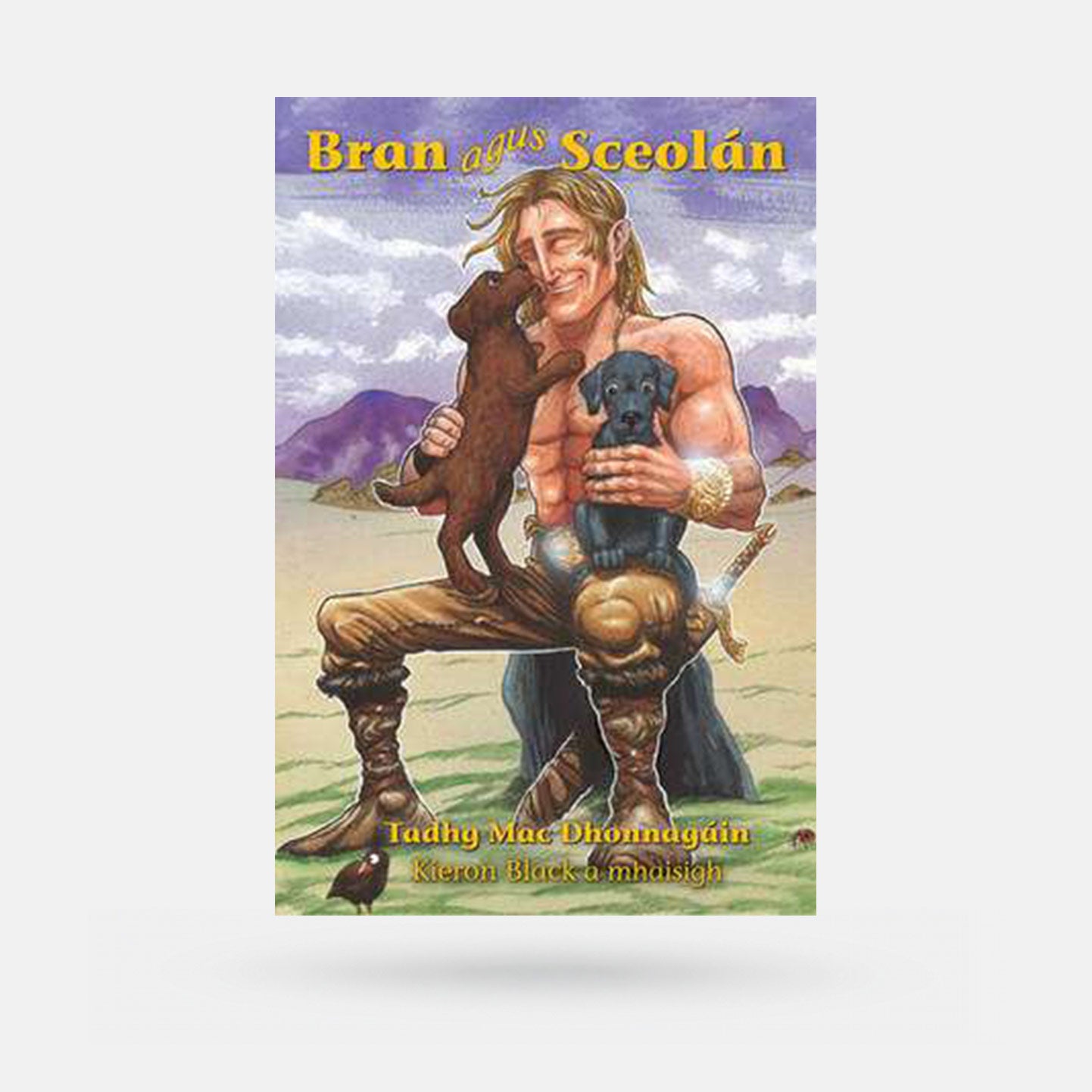 Bran agus Sceolán by Tadhg Mac Dhonnagáin - Book