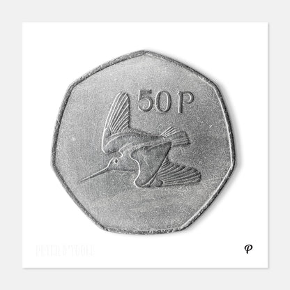 50p Woodcock Bird Coin Print