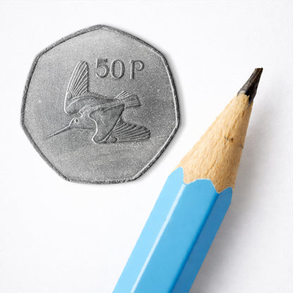 Irish 50p Coin – Woodcock by Percy Metcalfe - Coin Print