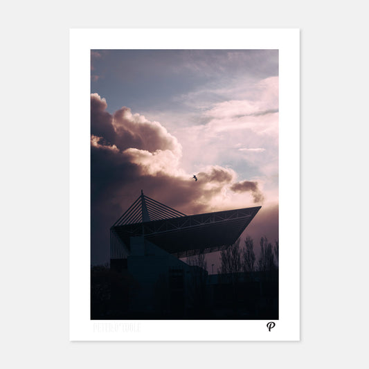 Fight or Flight Print