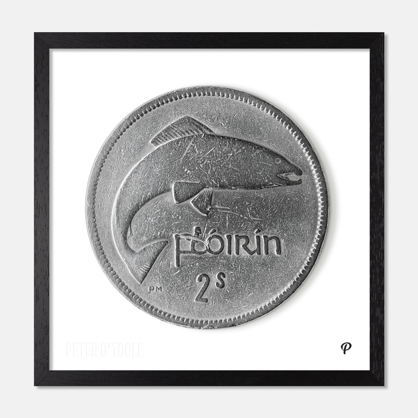 2 Scilling Flórín Salmon Coin Print