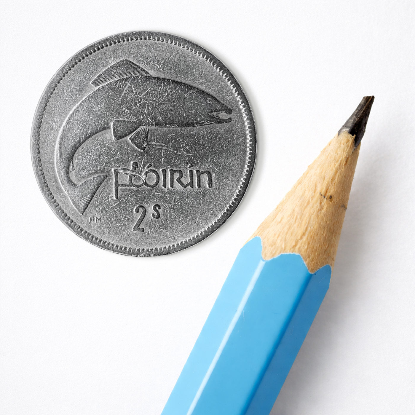 2 Scilling Flórín Salmon Coin Print