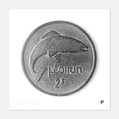 2 Scilling Flórín Salmon Coin Print