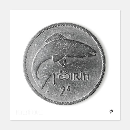 2 Scilling Flórín Salmon Coin Print