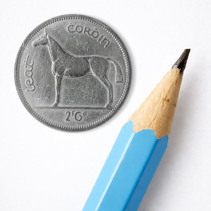Half Crown/Leath Choróin Irish Hunter Horse Coin Print