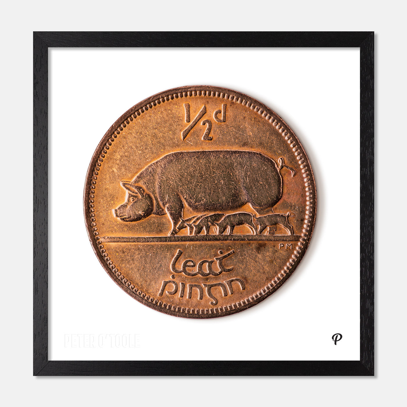 Half Penny/Leath Phingin Sow & Piglets Coin Print