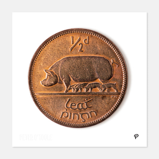 Half Penny/Leath Phingin Sow & Piglets Coin Print
