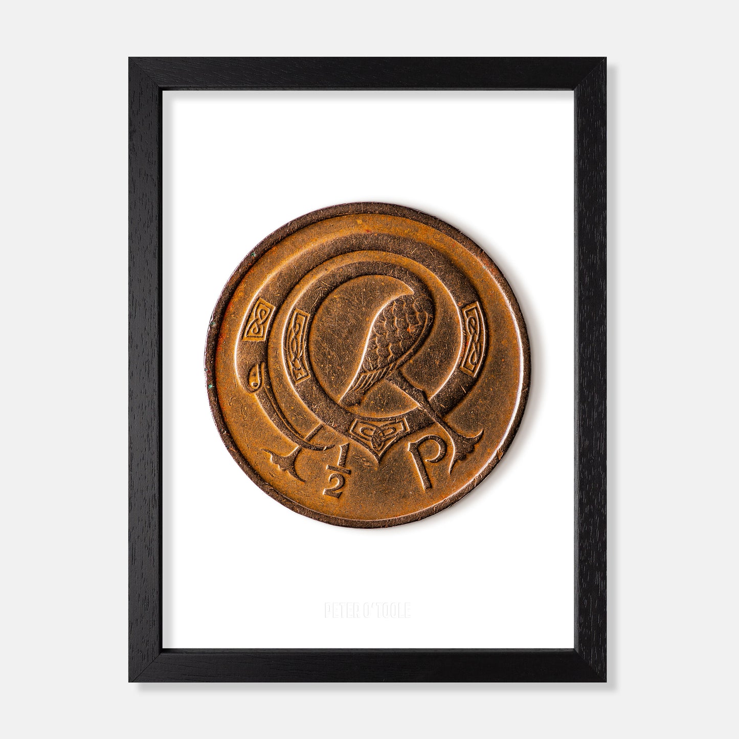 Irish Halfpenny (½p) Coin – Ornamental Bird by Gabriel Hayes - Coin Print
