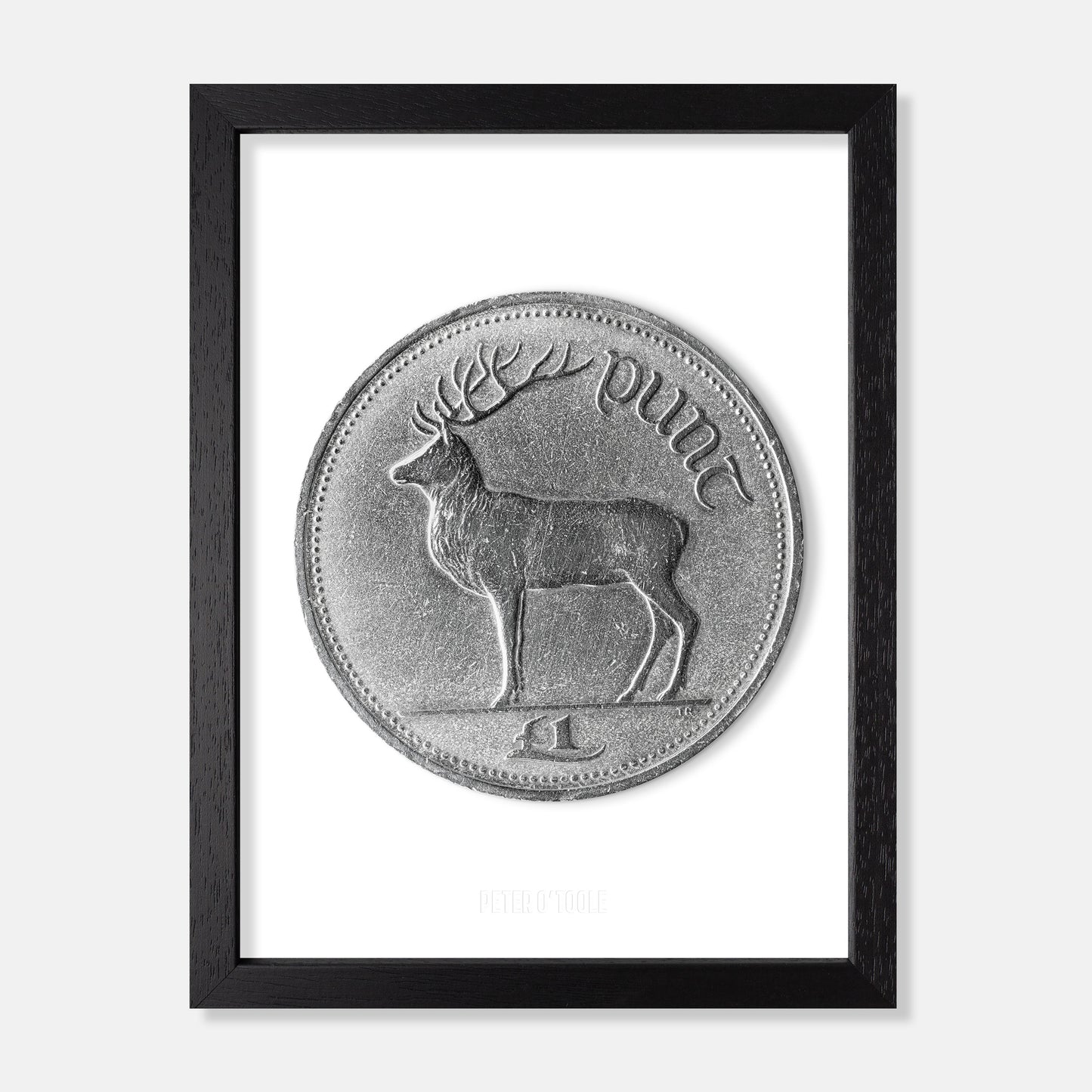 Irish One Pound (£1) Coin – Red Deer Stag by Thomas Ryan - Coin Print