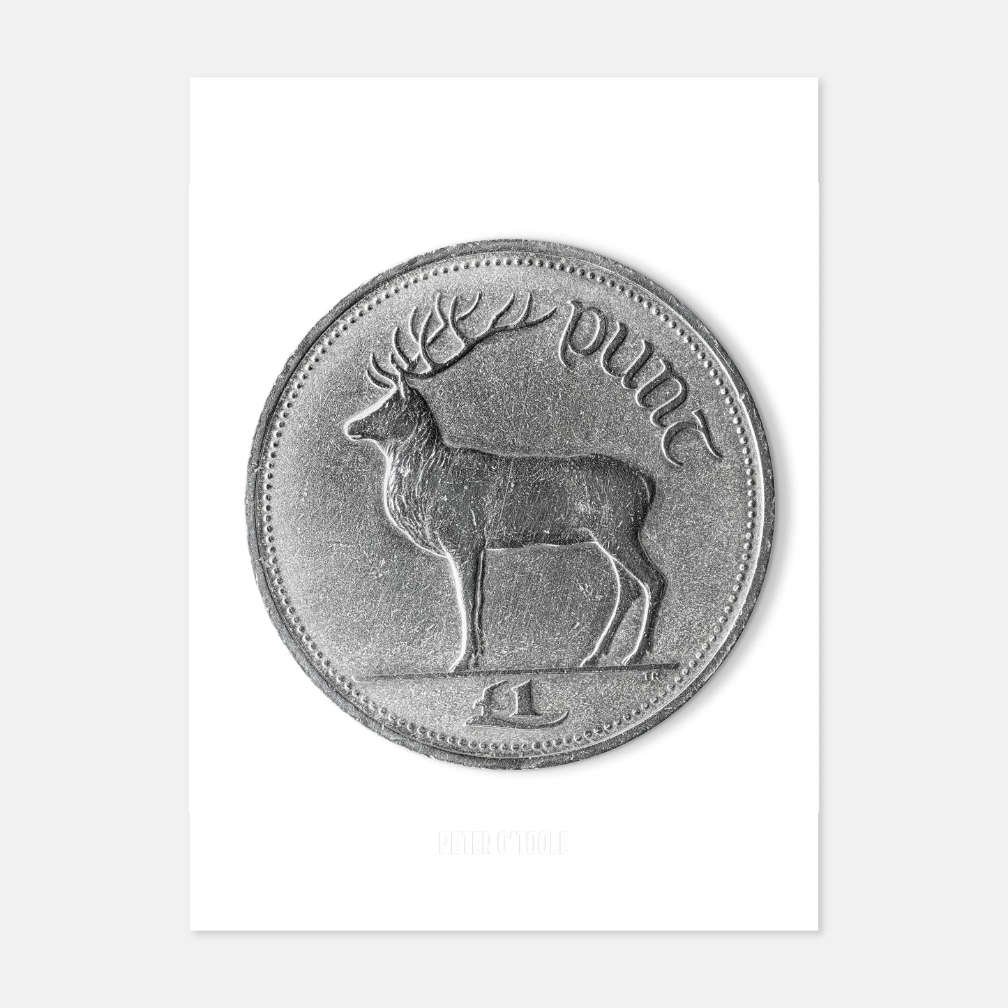 Irish One Pound (£1) Coin – Red Deer Stag by Thomas Ryan - Coin Print