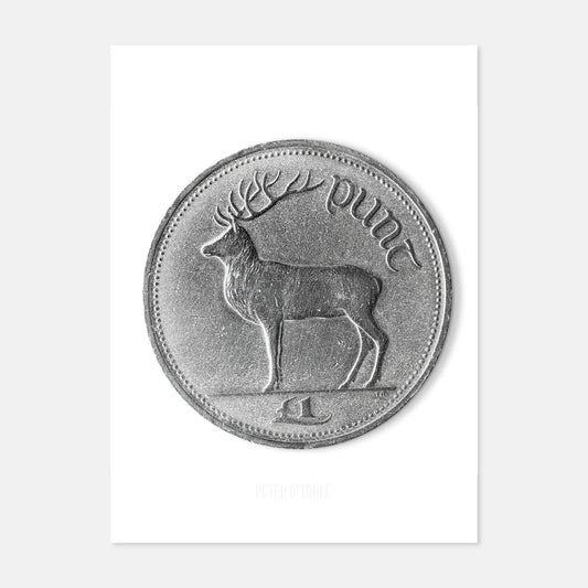 Bonn Punt Éireannach (£1) – Fia Rua le Thomas Ryan – Prionta Boinn